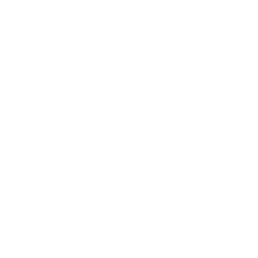 PVH